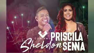 A Noite eu Choro Sheldon e Priscila Senna  -  Playback  / Karaokê