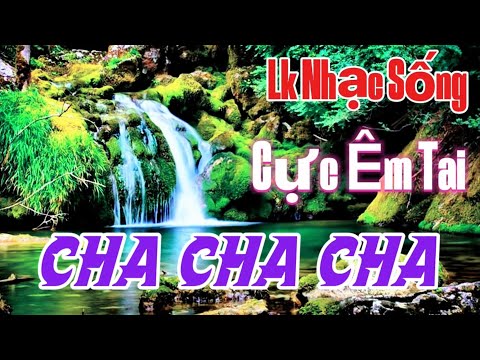 LK NHẠC SỐNG SÔI ĐỘNG NGHE SƯỚNG TAI | NHẠC CHA CHA CHA SÔI ĐỘNG HAY NHẤT HIỆN NAY | Organ Channel