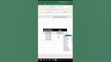 Calculate Age from Date Of Birth in Excel.   #shorts