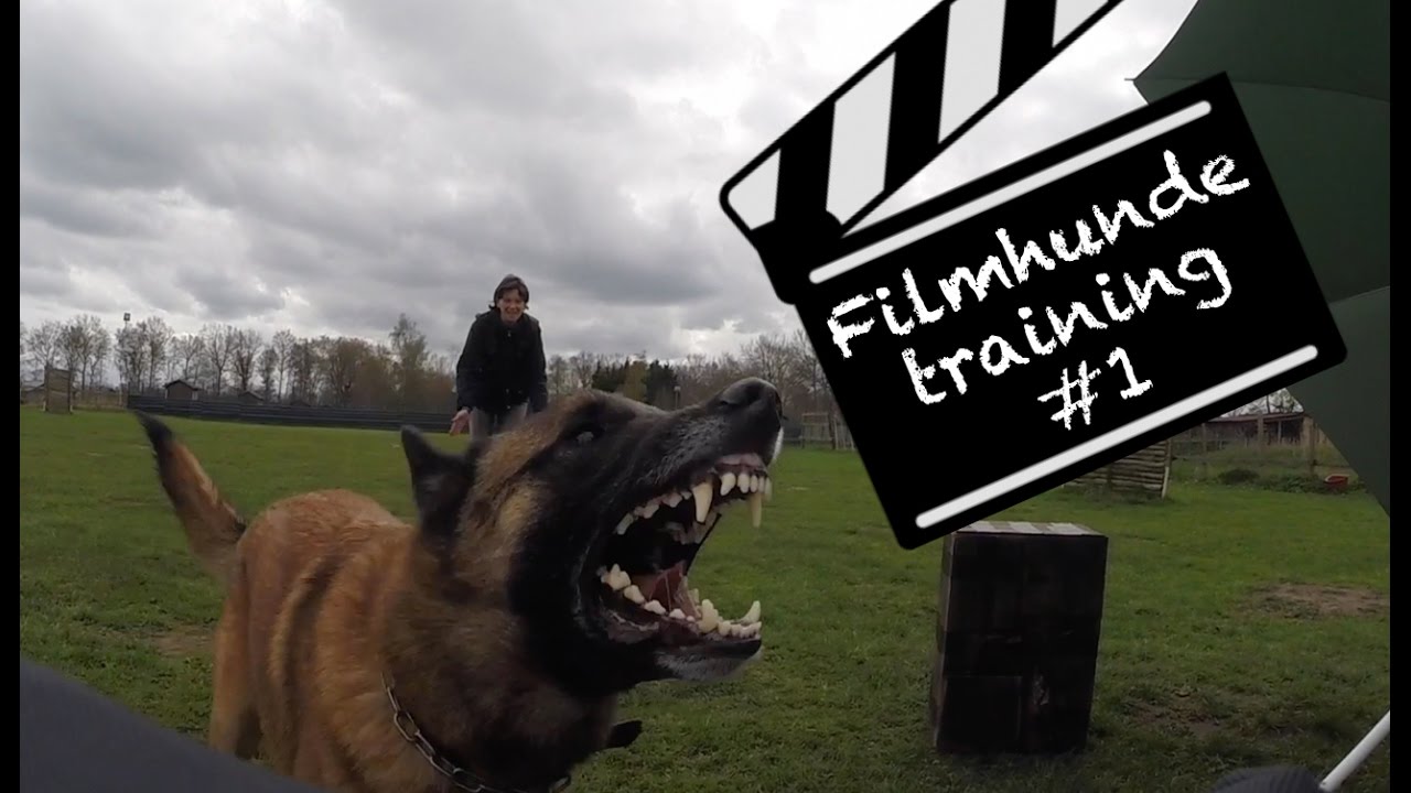 Wo Kein Schatten Fällt