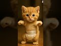 Si Oyen joget, cinta merah jambu #viral #ai #cutecat #cute #baby #jogetseru