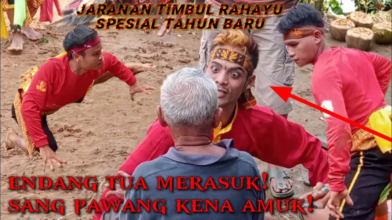 endang tua merasuk pamang Jaranan kena amuk! - timbul Rahayu spesial tahun baru