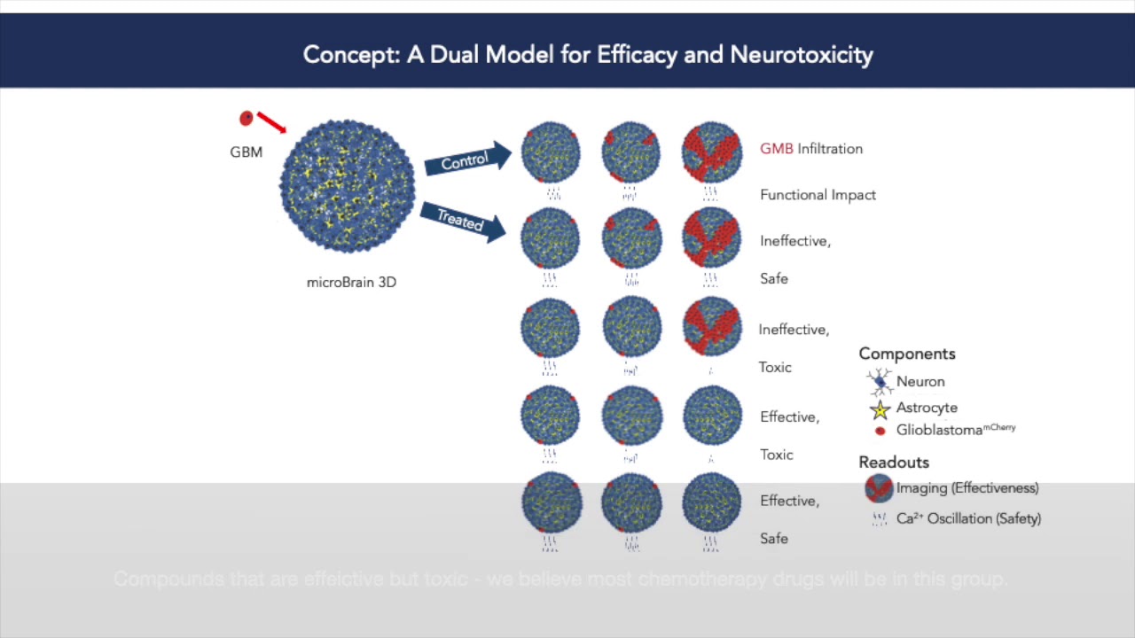 StemoniX SoT2020 Glioblastoma Poster