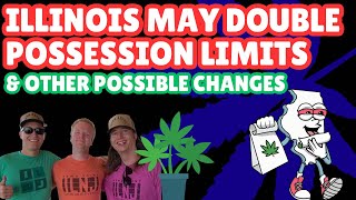 Illinois Proposal Would Double Possession Limits + More Cannabis DUI Charges Dropped