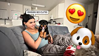 BUYING MY GIRLFRIEND A NEW PUPPY 😍