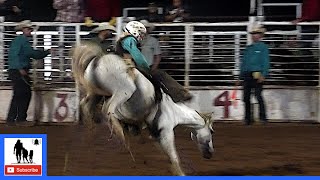 Miniature Bronc Riding - 2021 Motley / Dickens Old Settlers Rodeo | Friday