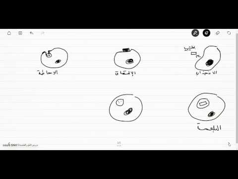 تمرين رقم 01 ص 103 من الكتاب المدرسي علوم الطبيعة و الحياة