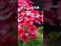 雨の日に聴きたい名曲クラシック