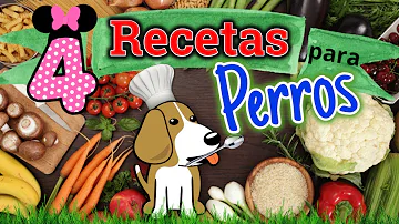 ¿La comida casera es buena para los perros?