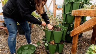 Growing Greens, Herbs & Small Root Crops Inside During Winter! 🥬🪴🥕 // Garden Answer