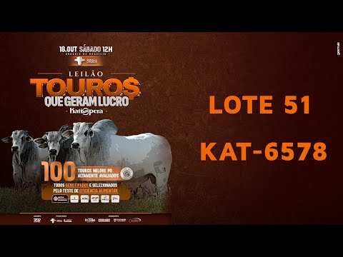 LOTE 51   KAT 6578