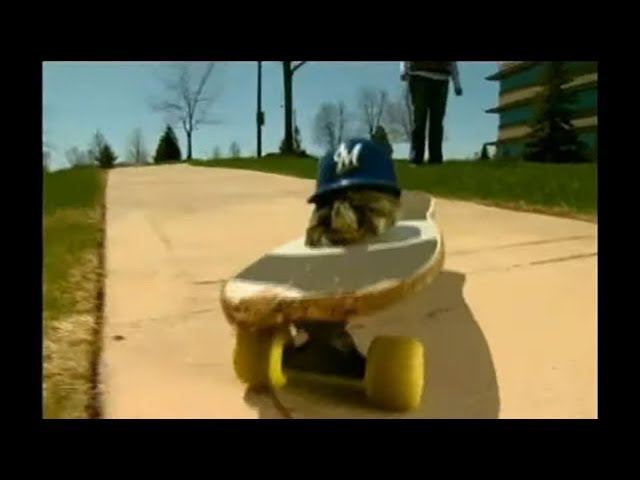 Watch Helmet Safety on YouTube.