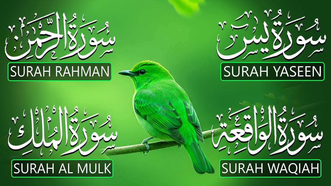 Heart Touching Quran Recitation That Moves The Soul | Surah Yasin Ar-Rahman Al-Waqiah Al-Mulk