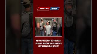 ICE Deports Convicted Criminals in Major Immigration Crackdown #ICE #Immigration #Trump