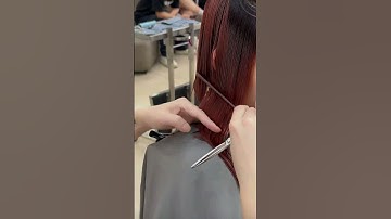 HƯỚNG DẪN CẮT TÓC BOB CLASSIC | LOULEE THÀNH