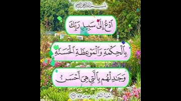 سورة النحل الآية ( 125 )