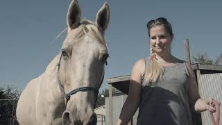 Swinging D Horse Rescue 2019