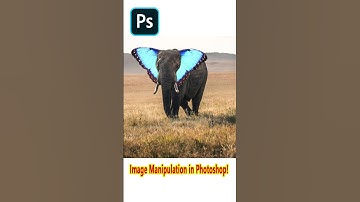 Photo Manipulation Use Elephant and Butterfly in Photoshop! #photoshop #short #manipulation