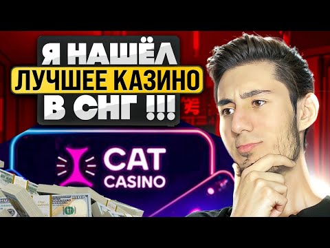 Получите бонус в Казино Кот с промокодом