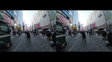 DJI Action2 ultra wide VR180 Test (not set VR180 metadata)