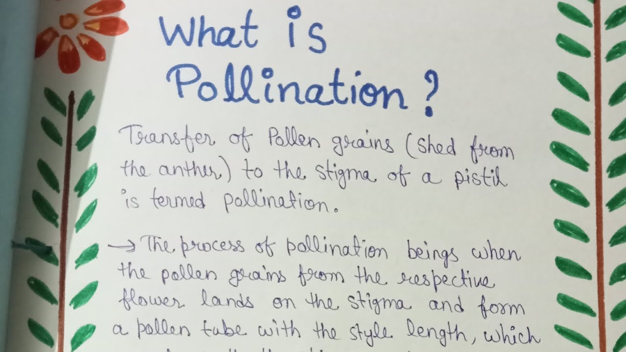 Investigatory project of biology || pollination || class 12 ...