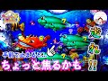 大海物語5 海面がキラキラと光ってからのノーマルリーチ ジュゴンが手前止まると 走って と願うよね 海物語5 おじパチ日記 パチンコ実践 パチンコ海物語 5 大海物語5 大海物語 大海物語5 海面がキラキラと光ってからのノーマルリーチ ジュゴンが手前止まると 走って と願うよね 海物語5 おじパチ日記 パチンコ実践 パチンコ海物語 5 大海物語5 大海物語