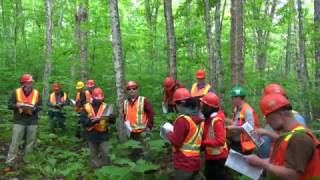 2016 NHRI Silviculture Prescription System Workshop Series