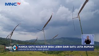 Kolecer, Permainan Unik Tradisional Akhir Tahun di Bogor #LintasiNewsSiang 02/01