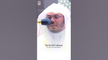 تلاوة بهيّة بديعة من الآسر #ياسر_الدوسري من المسجد الحرام