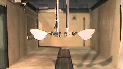 Video 1: Hovering Flapping Mechanism