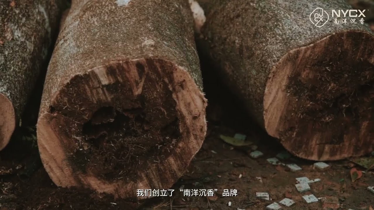 NYCX Corporate Video