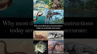 Why most dinosaur reconstructions today are probably inaccurate | #dinosaurs #fossils #speculation