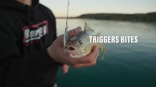 Using Inline Spinner Baits for Perch and Panfish - Berkley Dough Rider