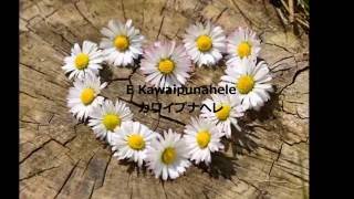 Kawaipunahele  Keali'i Reichel ケアリイ・レイシェル（日本語訳） chords