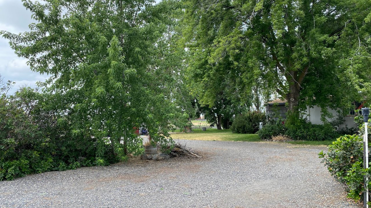 Clearing The Garden Drive Before & After Timelapse YouTube