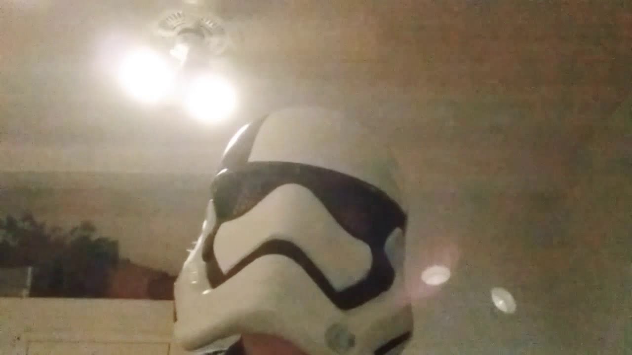 Pillowsac in a room filled with dogs YouTube