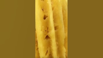 Coloring with Copic markers | How to draw a pineapple #shorts #markertutorial #markerdrawing