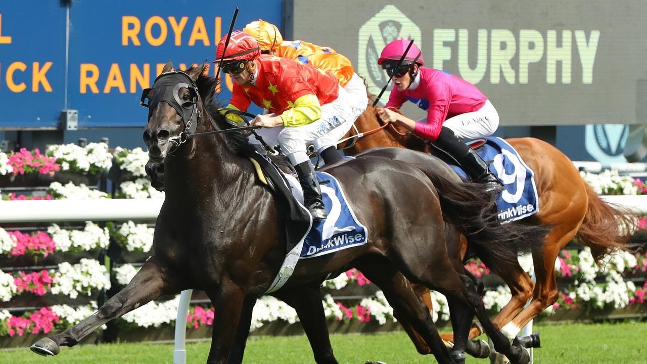 2023 Canterbury Stakes