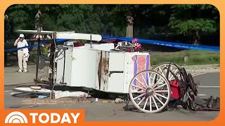 Calls Grow to Ban Horse-Drawn Carriages in NYC After Teen Dies