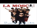 La Mosca Tsé Tsé | Te quiero comer la boca