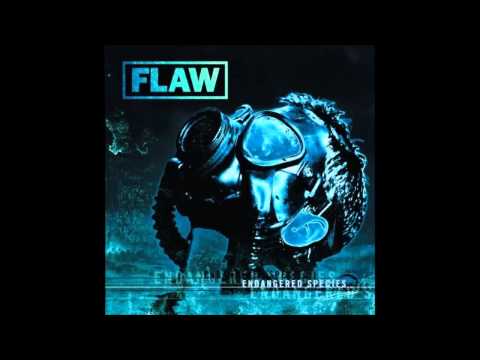 Flaw - Medicate