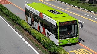 (Mediacorp CNA Full Body Advertisement) SG1088D(SEDEP 851) On Service 805 At Yishun Avenue 2