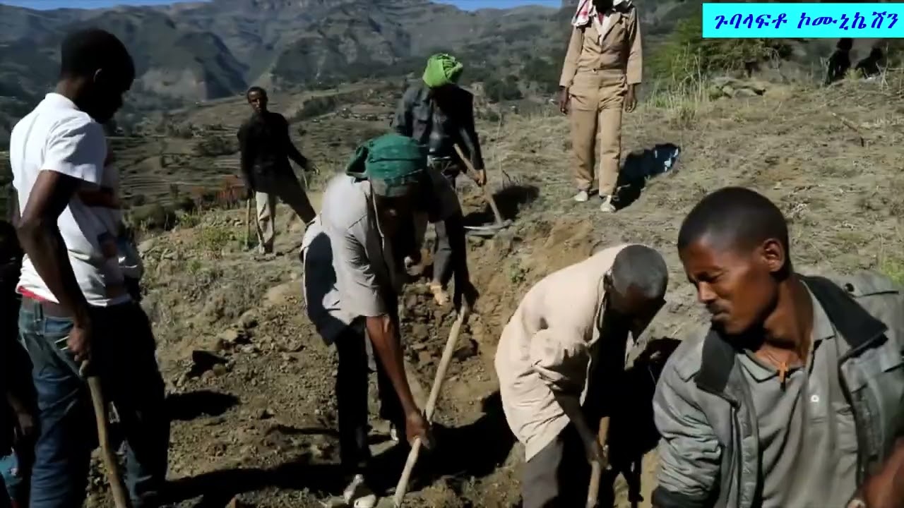 የተቀናጀ የተፋሰስ ልማት ስራ