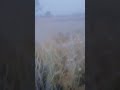 #funny video editing kaise karen #freefire free fire ka