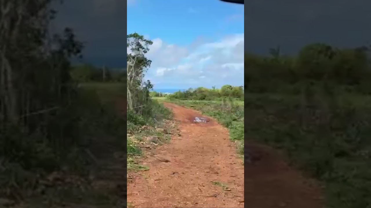 Entering the farm and showing the ocean view 🌊. Subscribe, like, comment and share 