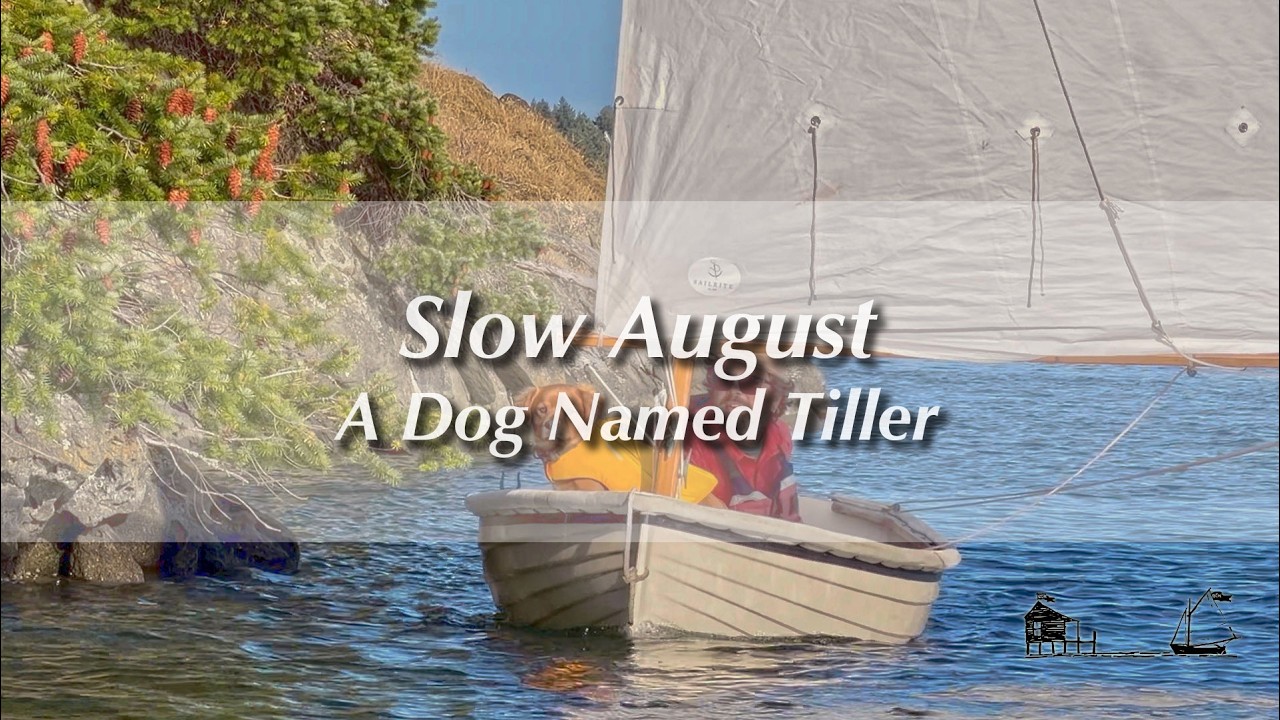 ⁣Slow August with a Dog Named Tiller | TRAILER | (Excerpt from Full Video)