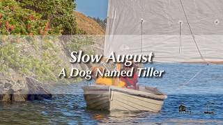 Slow August with a Dog Named Tiller | TRAILER | (Excerpt from Full Video)