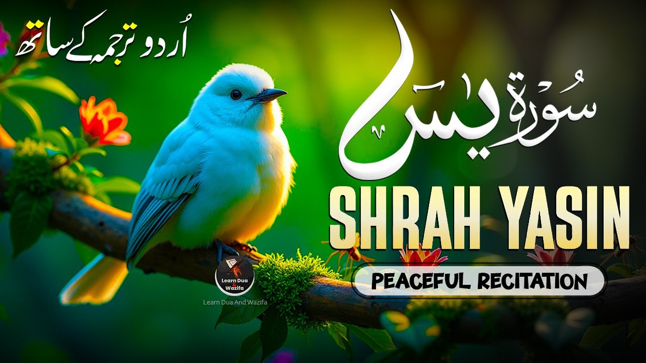 Surah Yaseen Full | Yasin Dua | Surah Rahman, Mulk, Qul Sharif, Ayatul Kursi | Episode - 052