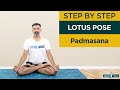 Padmasana (Lotus Pose or Position) How to Do Step by Step for Beginners | Hip Opening Stretches
