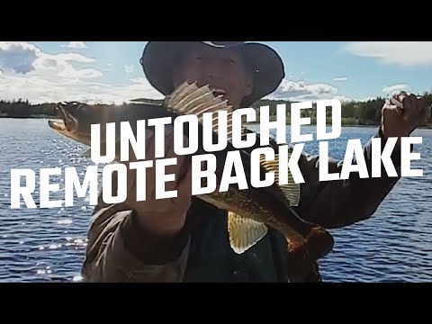 NON-STOP WALLEYE | BACK LAKE | EAR FALLS ONTARIO